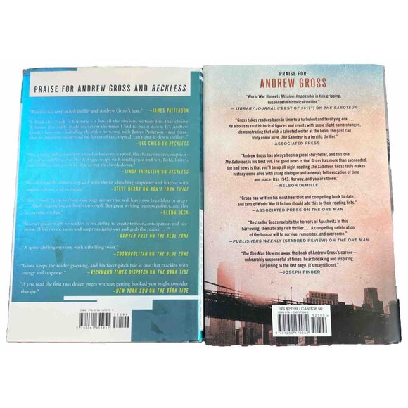 Andrew Gross 1st Edition Hardcover Books (Set of 2) Reckless & Button Man - Picture 2 of 5